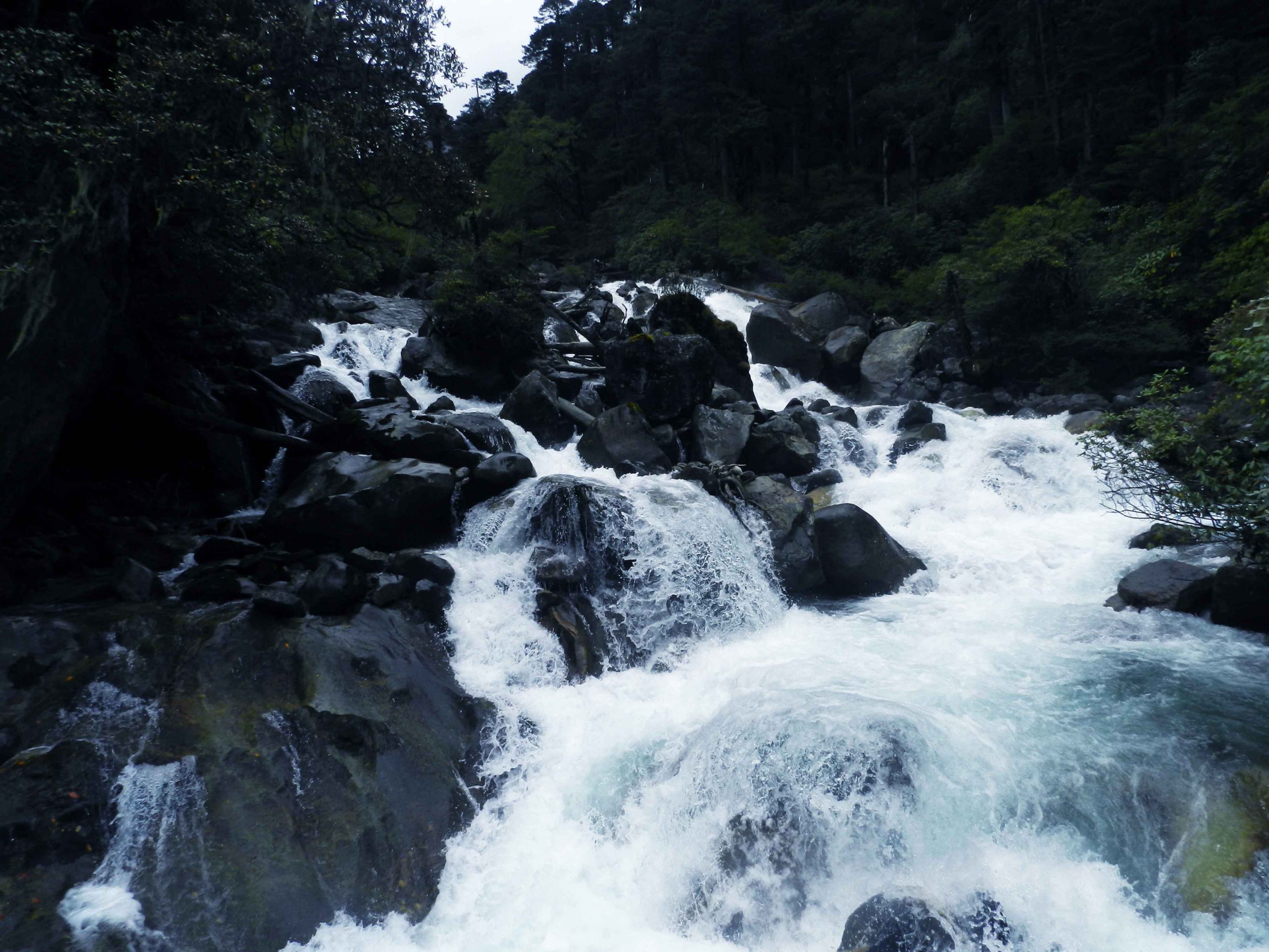 Carbon and climate resilience initiative