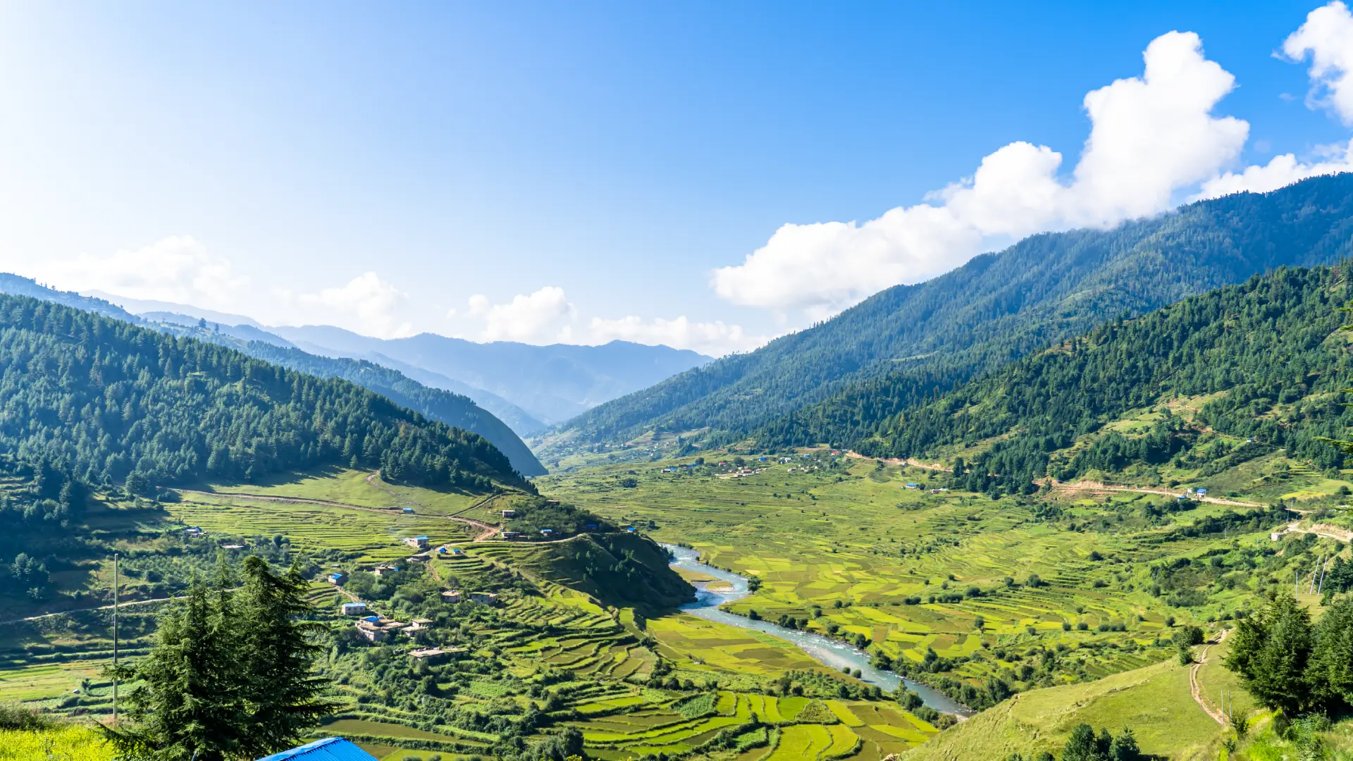 Farm and forest restoration initiative