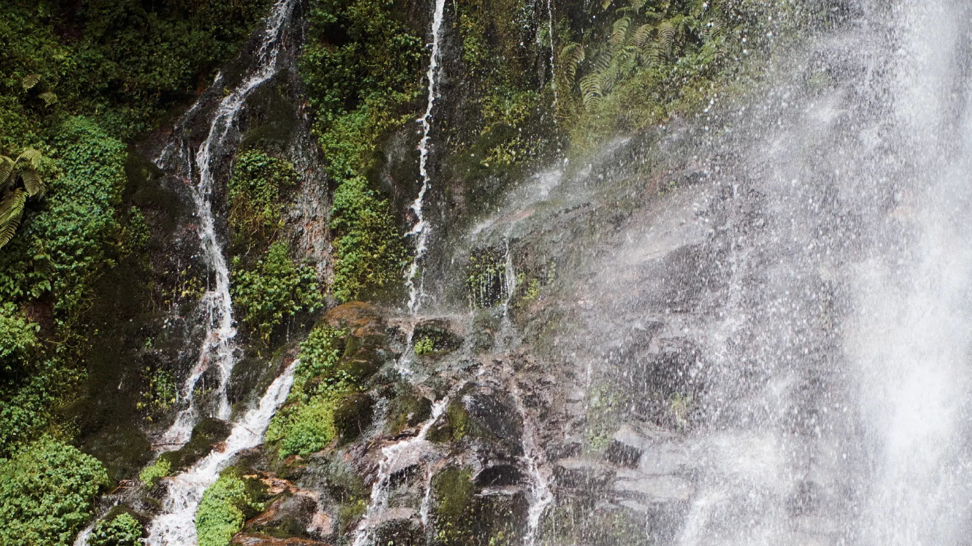 Water conservation and access initiative