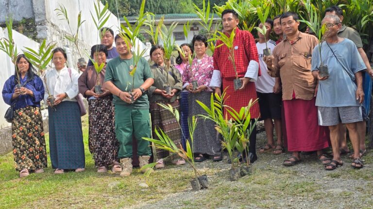 BES restoration work supporting ecological resilience
