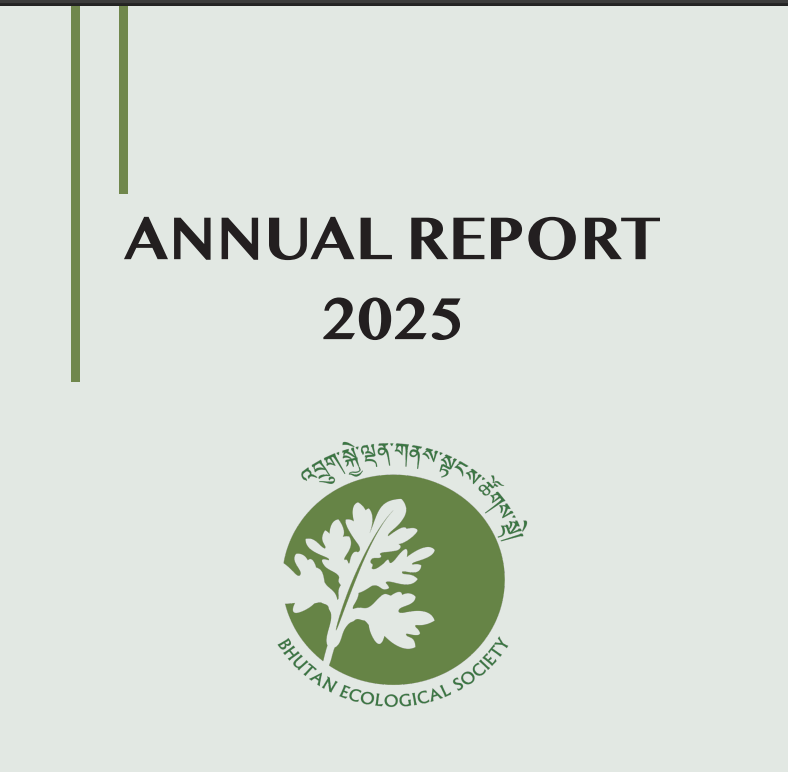 BES's 2025 Annual Report cover