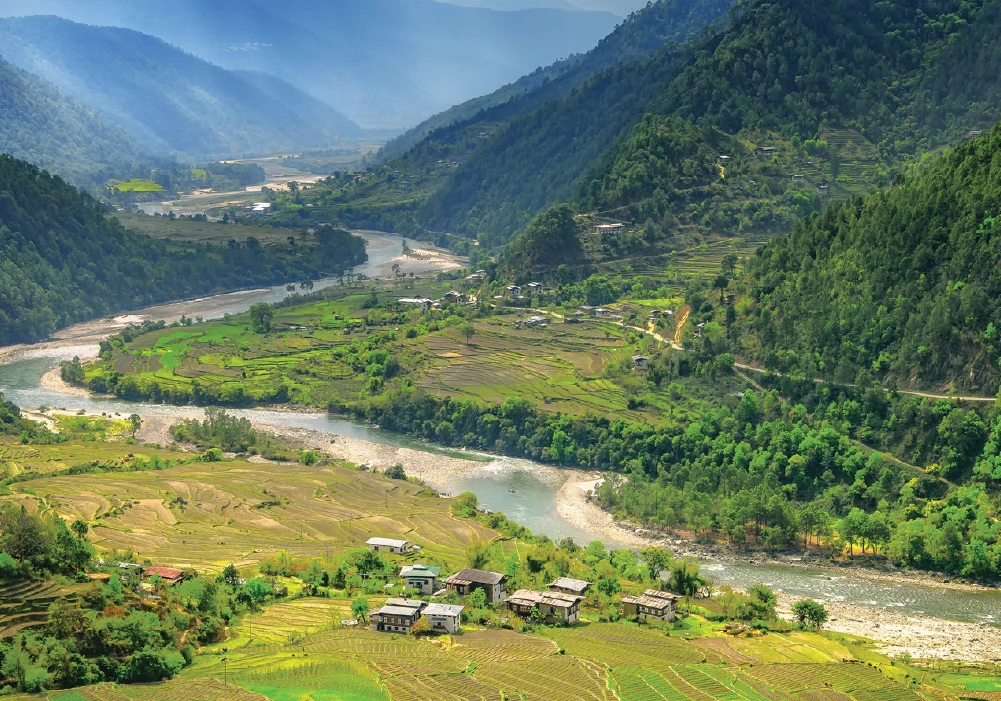Sustainable Asset Valuation of the Million Trees Initiative cover